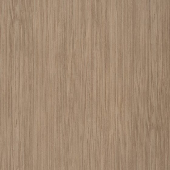 ARAUCO MELAMINA ROBLE MERIDA Pajaro Carpintero